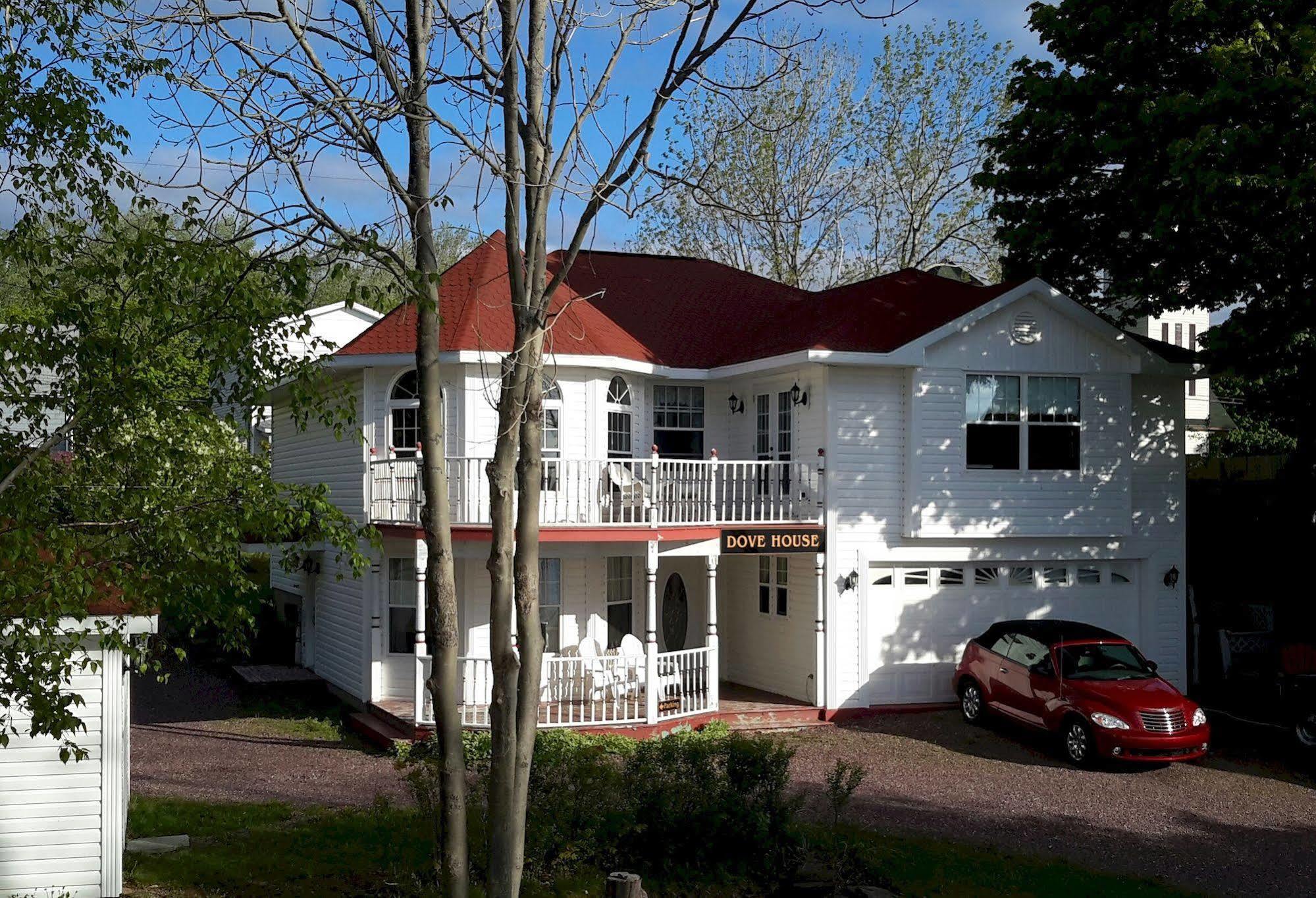 Dove House Bed & Breakfast Harbourside North Sydney Exterior photo